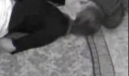 بعد از اینکه آلت تناسلی خلبان وارد سکس حیوانات دانلود الاغ شد
