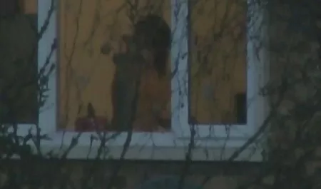 هومر سیمپسون همسرش دانلود فیلم سکسی با کیر کلفت مارگ را لعنتی کرد و صورتش را کوبید
